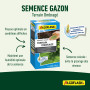 Algoflash Semence Gazon Terrain Ombragé - 800 g, Verte