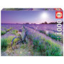 Puzzle 1000 pcs Velo dans un champ de lavande