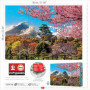 Puzzle 2000 pcs Chateau d Osaka - Japon