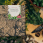 Plantes du monastère - Coffret cadeau de semences avec 11 herbes médicinales traditionnelles