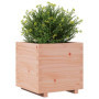 vidaXL Jardinière 50x50x49,5 cm Bois Massif de Douglas, jardinière d'extérieur, bac à Fleurs, boîte à Plantes, jardinière de ter