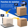 RAOYAN Balance Colis 300kg avec Haute Précision 20g, Pèse Colis Professionnel, Grand Écran LCD, Fonction Tarage, Alimentation su