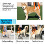 RICHDMI Harnais de Transport pour Chien, Harnais pour Pattes Arrière, Aide à La Marche de Levage Gilet de Traction pour Les Chie