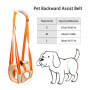 RICHDMI Harnais de Transport pour Chien, Harnais pour Pattes Arrière, Aide à La Marche de Levage Gilet de Traction pour Les Chie