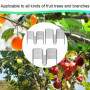 AOMAIGAD 30 Pièces Arbre Branche extracteur,8/10/13 cm,écarteurs de Branches d'arbre fruitier,Support de Branche pour Arbres fru
