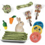 Lot de 2 tapis d'herbe pour lapin avec divers jouets à mâcher en forme de lapin, tapis de lit tissé naturel pour cochon d'Inde, 