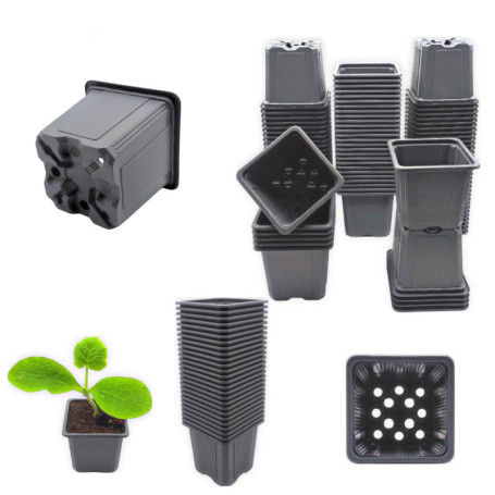 Verdonia 70 Godets Plastique 8cm pour Semis, Repiquage, Bouturage Réutilisables et Résistants - Pots Pratiques avec Trous de Dra