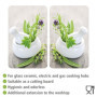 WENKO Plaque de Protection Cuisson en Verre trempé Herbes Lot de 2, Protection Tous Types de Plaque