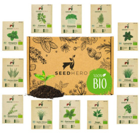 Set de graines d'herbes aromatiques BIO, graines résistantes aux graines, herbes de cuisine et de jardin, set de 12 variétés de 