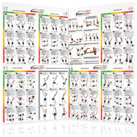Variosling® Poster avec 54 Exercices pour Un entraînement Fonctionnel avec Les Sangles de Suspension/Sling-Trainer | Instruction