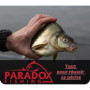 Paradox Fishing Lot de 5 Flotteur Peche - 3g/4g/5g/6g/8g - Bouchon Peche Truite