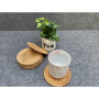 Wooloow Lot de 6 Dessous de Verre en rotin pour Verres, Dessous de Verre Ronds en Verre, Dessous de Verre naturels Faits à la Ma