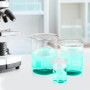Lixiluxia 5Pcs Verre Doseur en Verre, Bécher Gradué en Verre Borosilicate, Verrerie de Laboratoire, Tasse à Mesurer 5 Tailles 1