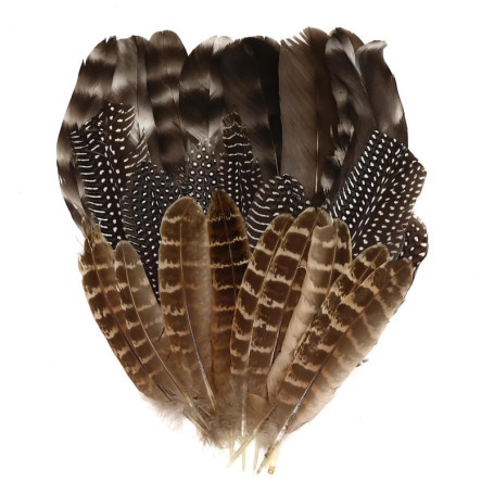 Lot de 30 Plumes Naturelles De Dinde, Plumes Artisanales, Plumes De Faisan pour Travaux Manuels, 3 Styles De Plumes Naturelles M