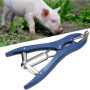 KSTE Pince de Castration, Pince de Castration Animale avec 50 Elastique Anneaux, Mouton Cochon de Métal Élevage Queue Accueil Ca