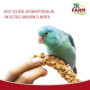 JR FARM Birds Millet à Piston Jaune dans Un Seau de 500 g