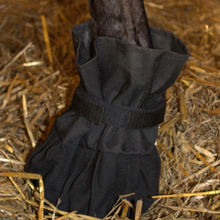 PFIFF 103109 Chaussure de Traitement imperméable pour Sabots et Griffes, en Toile, Taille Unique, Noir