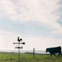 NIZEAMI Marqueur Une Forme de - Silhouette de la Girouette Une Forme de Coq rétro - Indicateur de Direction de la pour La Ferme 