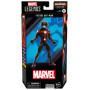 Marvel Hasbro Legends Series, Figurine articulée de Collection Future Ant-Man de 15 cm des Bandes dessinées