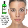 Tea Tree Eucalyptus Gel Douche pour Homme - Soin du Corps aux Huiles Essentielles Naturel Made In U.K Soin de la peau Arbre a Th