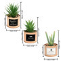 BELLE VOUS 3 Pièces Mini Plante Artificielle Interieur en Plastique avec Pot en Métal Cuivré - 10 x 7,5 cm - Fausse Plante Cactu