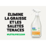 Ecover Essential Spray Nettoyant Multi Surface, Nettoie Sans Laisser de Traces, Ingrédients d'Origine Naturelle, Parfum Citron, 
