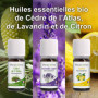 Coffret 8 x 10 ml Huiles Essentielles BIO distillées en FRANCE + Guide d'Aromathérapie PDF | HEBBD, HECT | Kit pour Cuisine, Dif