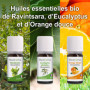 Coffret 8 x 10 ml Huiles Essentielles BIO distillées en FRANCE + Guide d'Aromathérapie PDF | HEBBD, HECT | Kit pour Cuisine, Dif
