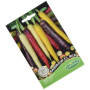 Germisem graines Carotte RAINBOW F1 MIX
