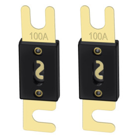 Heschen - Lot de 2 fusibles ANL-100 A - pour système audio de voiture - noir et doré