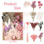 Fleurs séchées Naturelles et pétales séchés – Fleurs séchées colorées pour Loisirs créatifs, idéales pour résine, Bougies, Bijou
