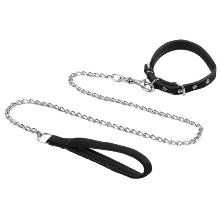 CVDYWDJIE 1 Laisse pour Animaux De Compagnie, 1 Collier pour Animaux De Compagnie, Laisse pour Chien en Métal, Ensemble De Prome