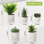 7 Pièces Plantes Artificielles,Mini Plantes Artificielles,Plantes artificielles pour la décoration du Salon, de la Chambre, du B