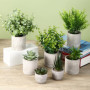 7 Pièces Plantes Artificielles,Mini Plantes Artificielles,Plantes artificielles pour la décoration du Salon, de la Chambre, du B