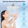 Tête de Douche 20cm Acier Inoxydable 304, Pommeau de Douche Rond 8 Pouces, Rotatif 360° Shower Head, Haute Pression, Economie d'