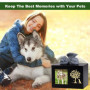 Urne funéraire pour chien - Urne funéraire en bois avec cadre photo - Boîte à souvenirs avec doublure en flanelle noire - Cadeau
