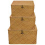 PINGEUI Lot de 3 paniers de rangement en jonc de mer avec couvercle et bouton, panier rectangulaire en jonc de mer pour vêtement
