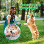 Sac De Transport pour Chien Sac Chien Transport Transport d'animaux Résistant pour Chiens Et Chats pour Les Activités en Plein A