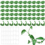 Bafumiu Pack de 60 Support Plante Grimpantes, Support Autocollant pour Plantes, Attache Cable Mural, Accessoires pour Plantes, F