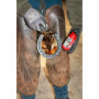 Kevin Bacon’s Hoof Solution | 150 g | Adapté à tous les types de chevaux | Avec pinceau intégré | Application rapide | Peut aide
