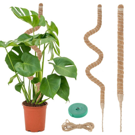 VFANDV Tuteur Plante, 120CM Support Plante Grimpante Tuteur Coco avec Twist 2 Meter pour Soutenir Les Plantes, pour Plante Jardi