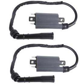 Twowinds - Bobine d'Allumage Moto Compatible avec Yamaha XV 250 Route 66 XV 250 V Star XV 250 Virago XV 750 XV 1000 XV 535 XV 11