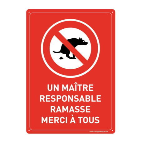AUA SIGNALETIQUE - Panneau Prépercé avec Angles arrondis - Un Maître Responsable Ramasse Les Crottes de Son Chien - 210x300 mm, 