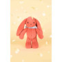 DOUDOU ET COMPAGNIE - Lapin Fleurette Terracotta 25 cm – Peluche Bébé Mixte Ultra Douce avec Foulard Fleuri – Doudou Naissance C
