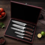 Wakoli Edib Set de 5 couteaux en Damas I Lames en acier damassé à 67 couches avec noyau VG10 et manches en bois de pakka I Coute