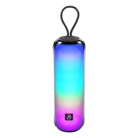 MusicMan Enceinte Bluetooth Portable avec lumières Disco RVB, Radio FM, Lecture USB et MicroSD, Batterie 1800 mAh, Microphone in