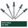 SKIR'CO Lot de 100 rivets aveugles peints 4,0 x 8 mm en aluminium avec foret inclus (vert mousse RAL 6005)