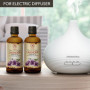 Huile Essentielle de Lavande - 2x100ml - Lavandula Angustifolia pour Diffuseur - Aromathérapie - Pure et Naturelle - HE Lavande 