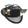 Borimend Bobine D'Allumage de Moto pour G150 G200 G300 G400 30500-887- 30560-883-015