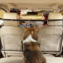 Nobleza Filet Voiture pour Chien, Grille de Séparation pour Chien, Barrière Chien Voiture Barrière de Siège Avant pour Animaux d